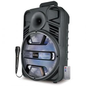 Dolphin 12” R Speaker W/ Mic