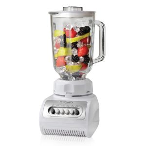 Premium 4 Speed Glass Blender